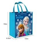 Disney Frozen Tote Bag Accessories Set with 15" Grocery Bag Featuring Elsa, Anna, More | Double-Sided Frozen Reusable Bags Medium