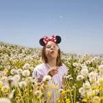 Disney Princess Mouse Ears Headband - Black & Red