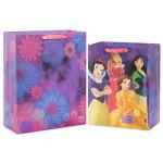 Disney Princess Gift Bags Set: Ariel, Tiana & More
