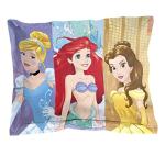 Disney Princess Friendship Adventures Twin Bed Set