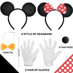 Disney Mouse Costume with Tutu, Ears, and Gloves