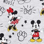 Disney Mickey and Minnie Mouse Girls' Skater Dress
