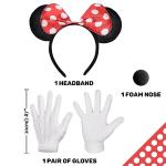 Disney Mouse Costume Set with Tutu and Ears