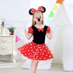 Disney Mouse Costume Set with Tutu and Ears