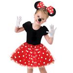 Disney Mouse Costume Set with Tutu and Ears