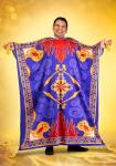 Disney Aladdin Magic Carpet Costume for Adults