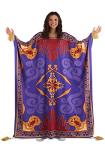 Disney Aladdin Magic Carpet Costume for Adults