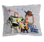 Disney Pixar Toy Story 4 Twin/Full Comforter Set