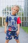 Disney Mickey Mouse Boys Graphic Tee and Shorts Set