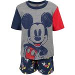 Disney Mickey Mouse Boys Graphic Tee and Shorts Set