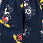 Disney Mickey Mouse Boys Graphic Tee and Shorts Set
