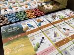 Wingspan Board Game: A Fun Bird Strategy Game