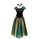 Disney Princess Anna Coronation Dress for Adults