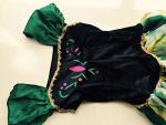 Disney Princess Anna Coronation Dress for Adults