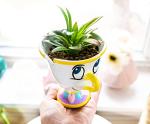 Disney Beauty and the Beast Chip Mini Planter