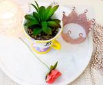 Disney Beauty and the Beast Chip Mini Planter