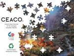 Disney Mickey & Minnie Campfire 1000 Piece Puzzle