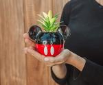 Disney Mickey Mouse 3-Inch Ceramic Mini Planter with Artificial Succulent | Small Flower Pot, Faux Indoor Plants for Desk Shelf, Home Decor Trinket Tray and Collectibles