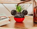 Disney Mickey Mouse 3-Inch Ceramic Mini Planter with Artificial Succulent | Small Flower Pot, Faux Indoor Plants for Desk Shelf, Home Decor Trinket Tray and Collectibles