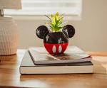 Disney Mickey Mouse 3-Inch Ceramic Mini Planter with Artificial Succulent | Small Flower Pot, Faux Indoor Plants for Desk Shelf, Home Decor Trinket Tray and Collectibles
