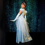 Cinderella Princess Costume for Women - Small