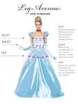 Cinderella Princess Costume for Women - Small