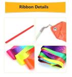 Rainbow Ribbon Dancing Wands - 20 Pack