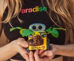 Disney Pixar Wall-E Mini Planter with Succulent