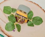 Disney Pixar Wall-E Mini Planter with Succulent