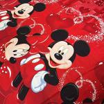 Mickey Mouse Twin Reversible Kids Bedding Set