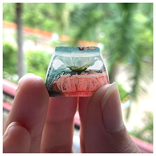 Mandala Resin Backlit SA Profile Keycap for MX Switch