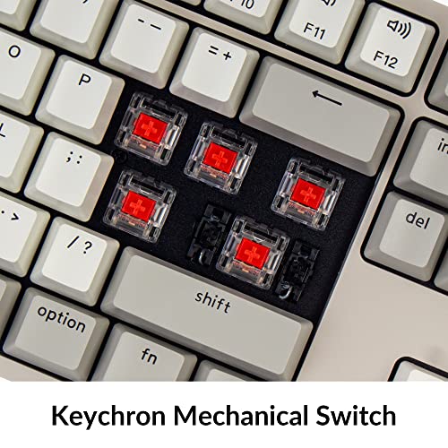 Keychron C2 Full Size Wired Mechanical Keyboard