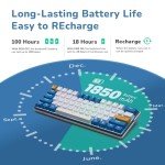 RK61 Plus Wireless Mechanical Keyboard with RGB