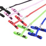 Pet chest back cat leash leash cat leash leash leash pet chest leash optional color cat chain cat leash back cat leash