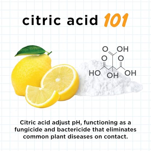 Earth's Ally Natural Fungicide for Lawns, 32 fl. oz