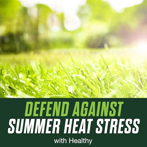 Scotts Turf Builder Healthy Plus Lawn Food - 13.70 lbs