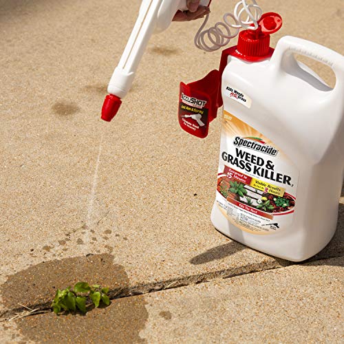 Spectracide Weed & Grass Killer for Driveways and Gardens