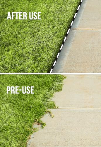 Wild Badger Power WB31CCED Gas Sidewalk Edger