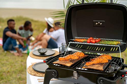 Megamaster Portable Gas Grill with Foldable Legs