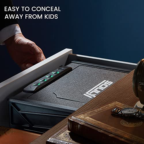 Biometric Fingerprint Gun Safe for 3 Pistols