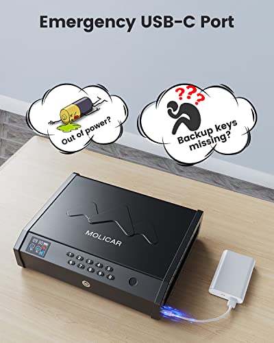 Biometric Handgun Safe with LCD and Quick Access