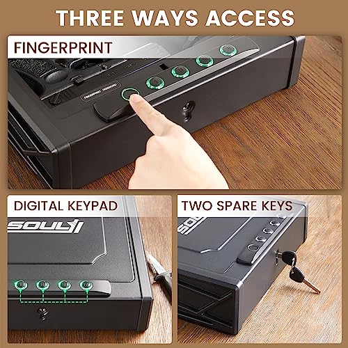 Biometric Fingerprint Gun Safe for 3 Pistols