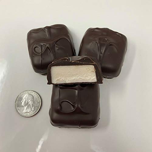 Jumbo Vanilla Marshmallow Dark Chocolate Treats 1 lb