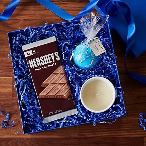 HERSHEY'S XL Milk Chocolate Candy Bars (12 packs)
