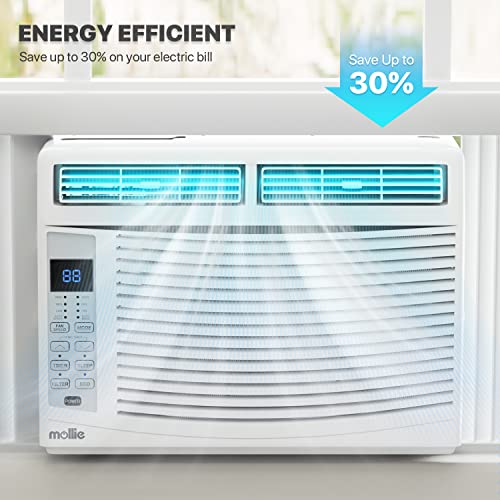 Mollie 6000 BTU Window Air Conditioner - Powerful Cooling
