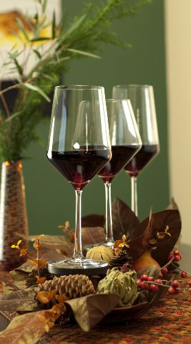 Schott Zwiesel Sauvignon Blanc Wine Glass Set of 4