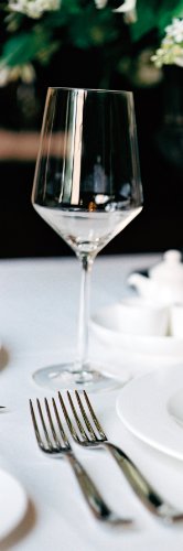 Schott Zwiesel Sauvignon Blanc Wine Glass Set of 4