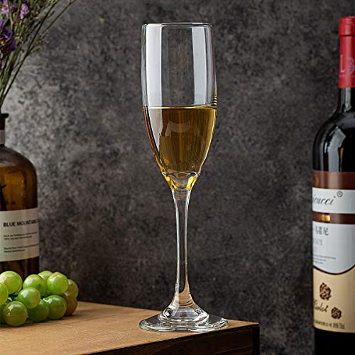 Set of 12 Classic Champagne Glasses 170ml