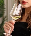 Modern Crystal White Wine Glasses (Set of 4)