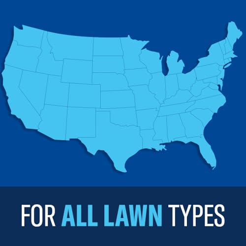 BioAdvanced Ready-to-Spray Lawn Fungus Control, 32 oz